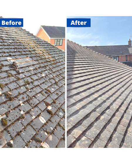 roof cleaning Frome before and after