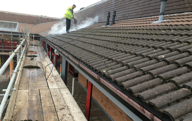 Frome roof cleaning with a doff steam cleaner